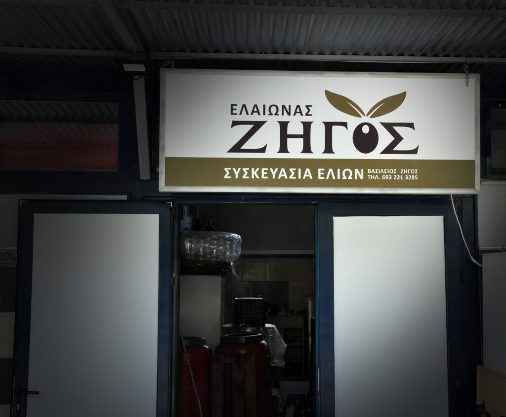 eleonas zigos front 02